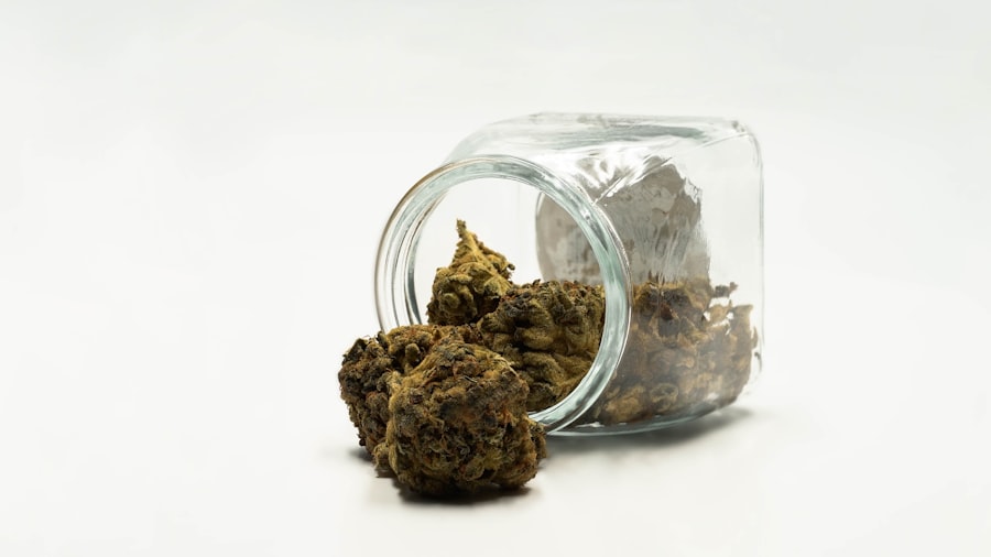 Cannabis plants