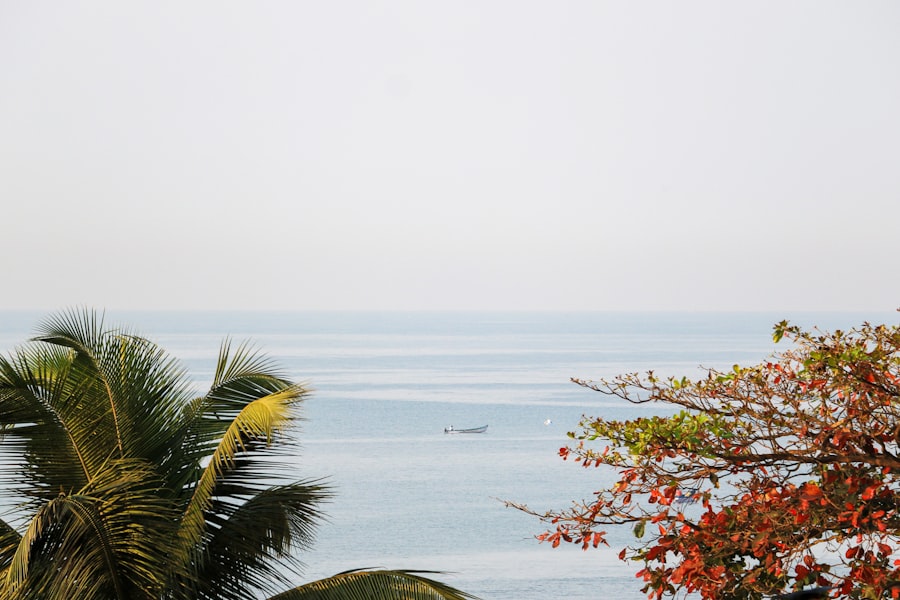 Photo Relaxing nature