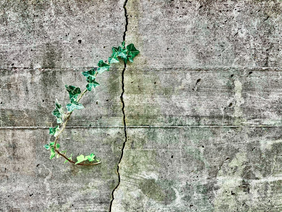 Photo Green Crack