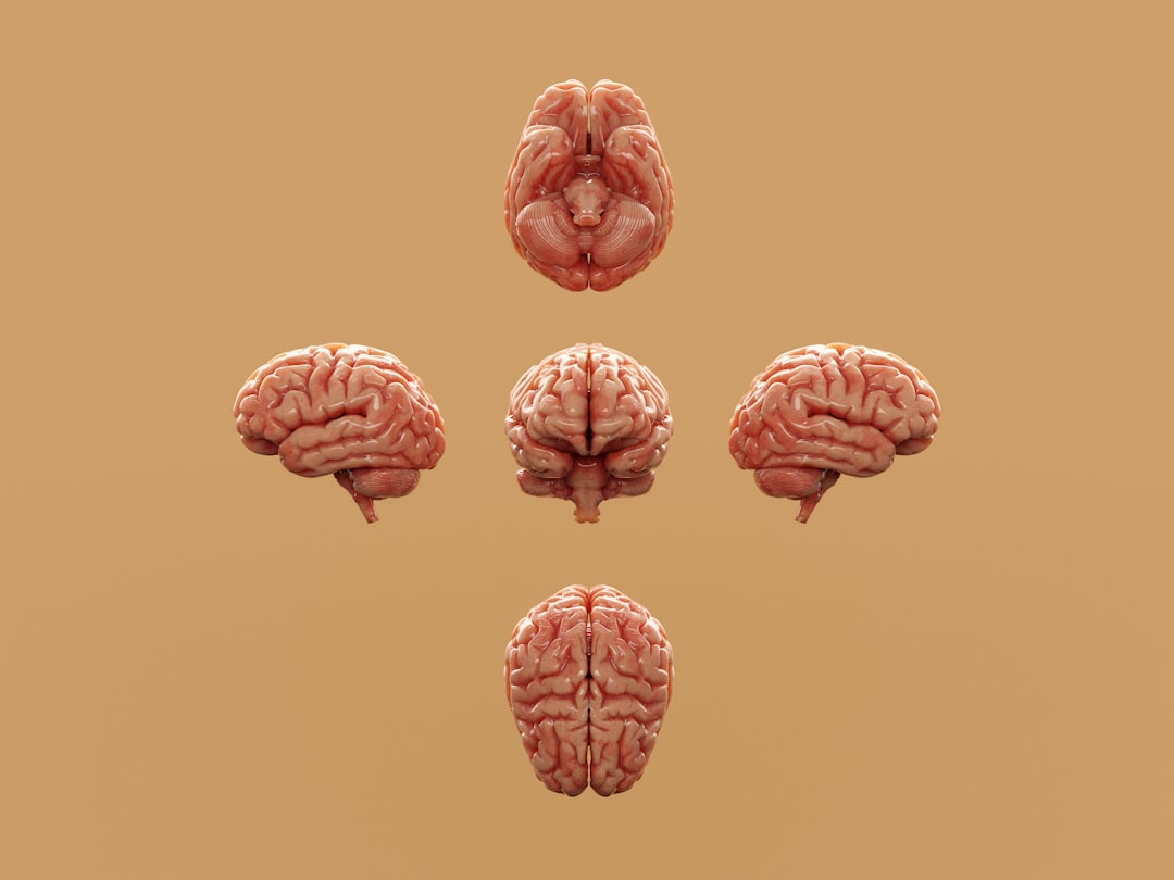Photo Brain receptors