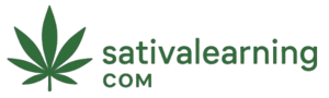 Sativa